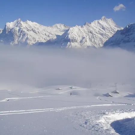 Asterix Apartment Grindelwald