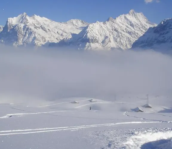 Asterix Appartement Grindelwald